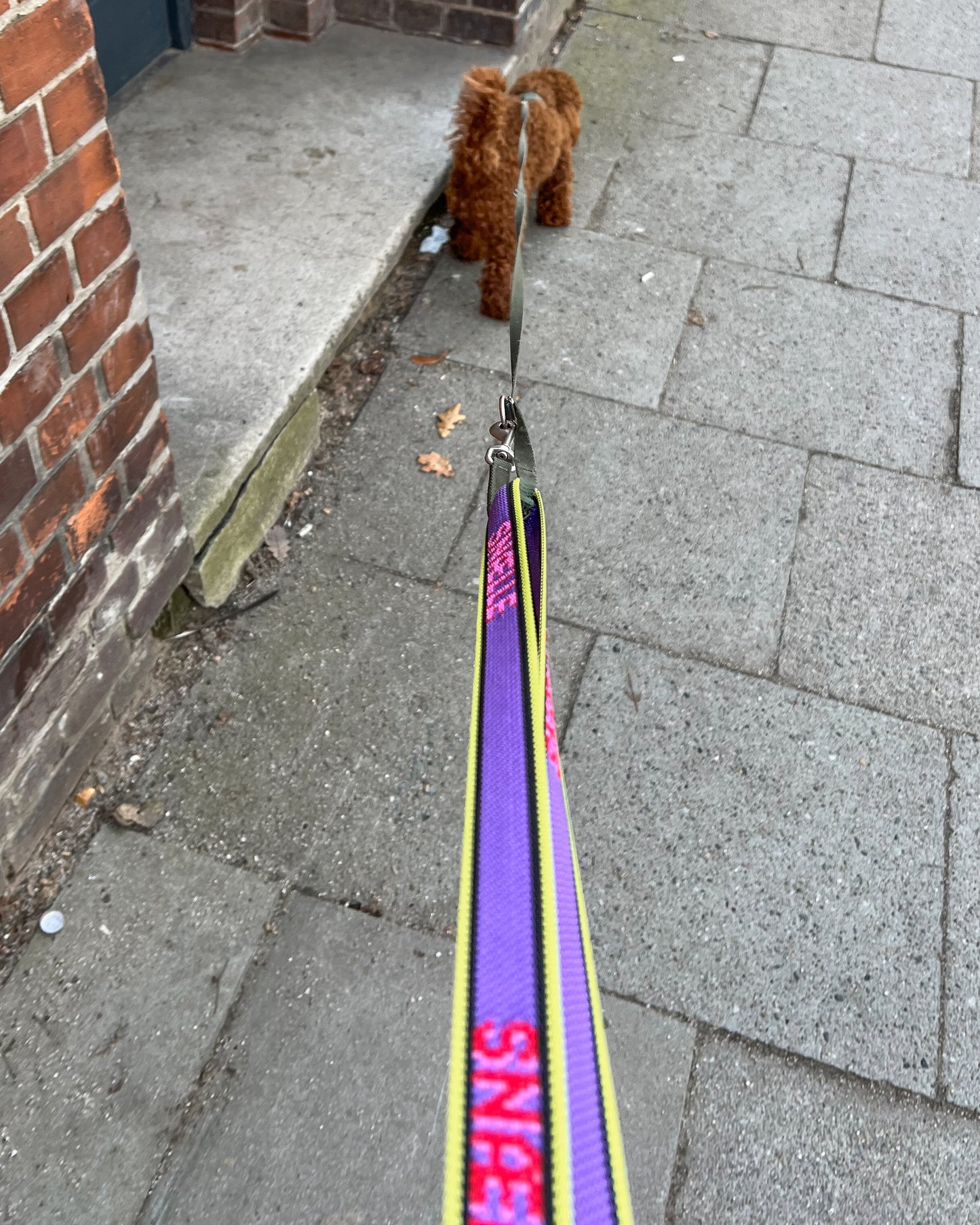 Snalle Design 4 | PURPLE