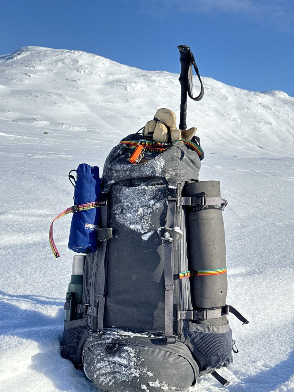 Snalle Design 3 | RAINBOW