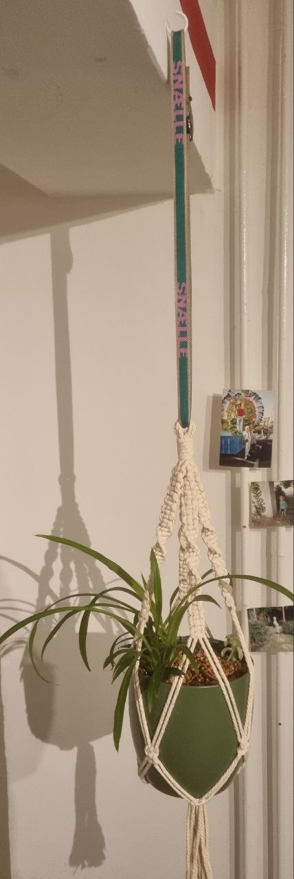 Snalle Design 2 | GRÜN-PINK