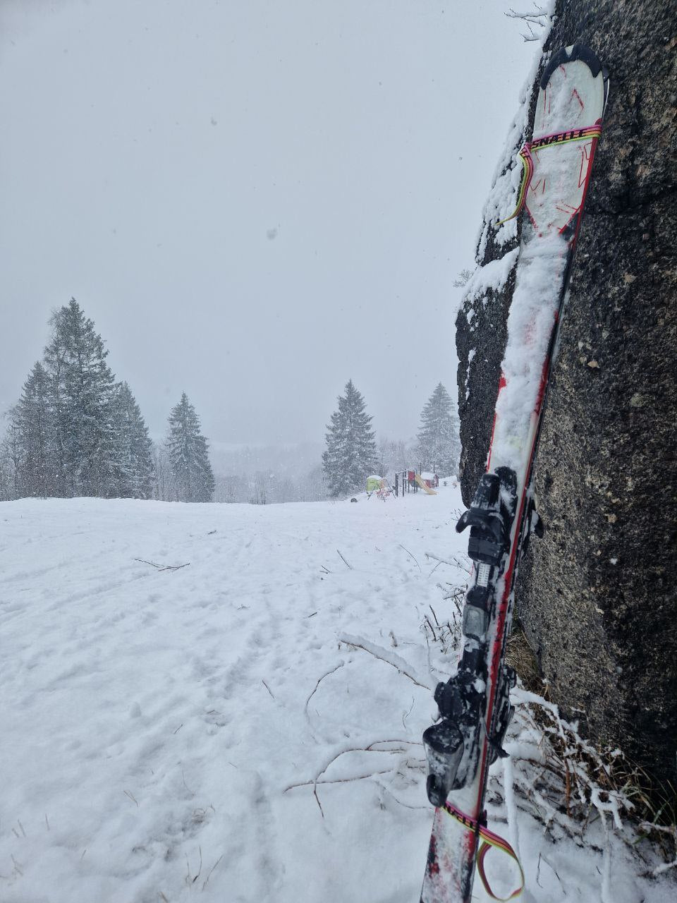 Snalle Design 1 | NEON